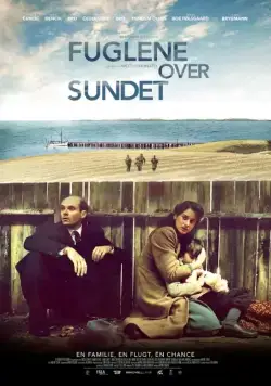 Через воды / Fuglene over sundet (2016) фильм смотреть онлайн Через воды / Fuglene over sundet (2016) фильм смотреть онлайн в хорошем качестве