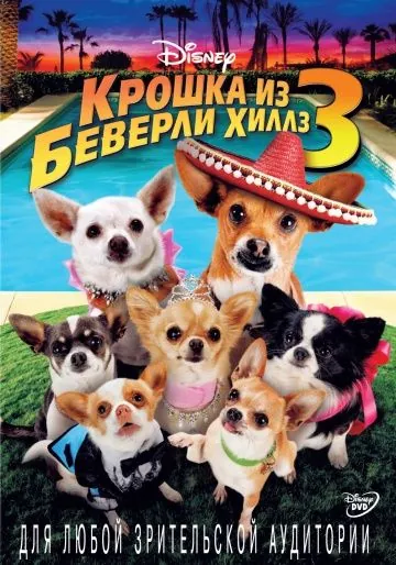 Крошка из Беверли-Хиллз 3 / Beverly Hills Chihuahua 3: Viva La Fiesta! (2012) фильм смотреть онлайн в хорошем качестве