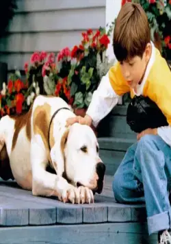 Дорога домой 2: Затерянные в Сан-Франциско (1996) смотреть онлайн бесплатно Дорога домой 2: Затерянные в Сан-Франциско (1996) фильм смотреть онлайн бесплатно