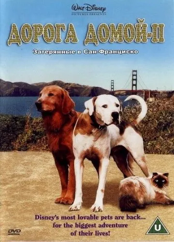 Дорога домой 2: Затерянные в Сан-Франциско / Homeward Bound II: Lost in San Francisco (1996) фильм смотреть онлайн Дорога домой 2: Затерянные в Сан-Франциско / Homeward Bound II: Lost in San Francisco (1996) фильм смотреть онлайн в хорошем качестве