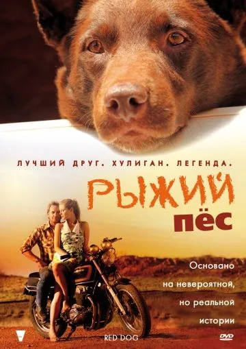 Рыжий пес / Red Dog (2011) фильм смотреть онлайн Рыжий пес / Red Dog (2011) фильм смотреть онлайн в хорошем качестве