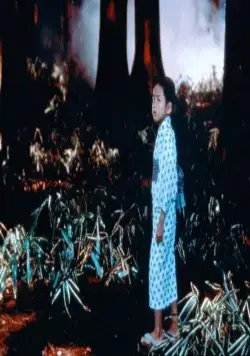 Сны Акиры Куросавы (1990) смотреть онлайн бесплатно Сны Акиры Куросавы (1990) фильм смотреть онлайн бесплатно