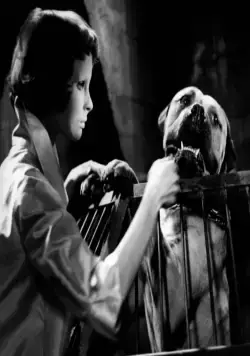 Глаза без лица (1959) в хорошем качестве смотреть онлайн Глаза без лица (1959) фильм в хорошем качестве смотреть онлайн