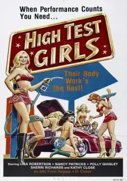 Шесть шведок с бензоколонки / Sechs Schwedinnen von der Tankstelle (1980) фильм смотреть онлайн в хорошем качестве