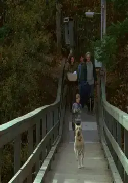 Далеко от дома: Приключения желтого пса (1994) смотреть онлайн Далеко от дома: Приключения желтого пса (1994) фильм смотреть онлайн