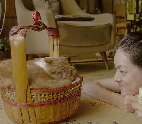 Кошка напрокат (2012) смотреть онлайн Кошка напрокат (2012) фильм смотреть онлайн