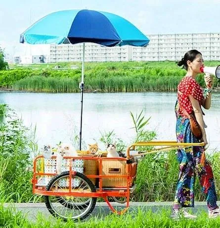 Кошка напрокат (2012) смотреть онлайн бесплатно Кошка напрокат (2012) фильм смотреть онлайн бесплатно