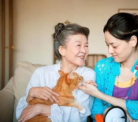 Кошка напрокат (2012) в хорошем качестве смотреть онлайн Кошка напрокат (2012) фильм в хорошем качестве смотреть онлайн