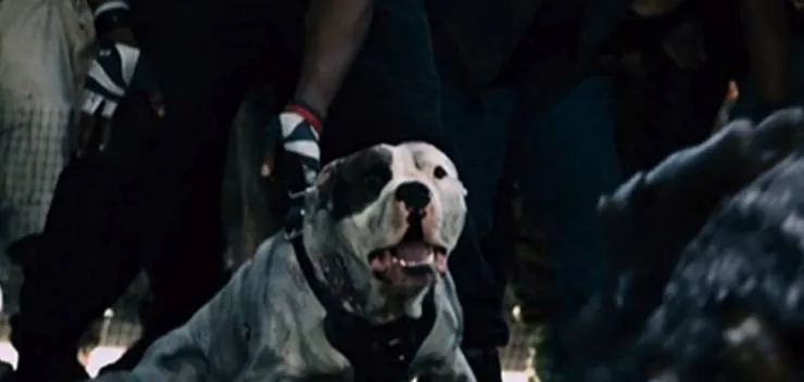 Монстры 2: Тёмный континент (фантастика) (2014) смотреть онлайн Монстры 2: Тёмный континент (фантастика) (2014) фильм смотреть онлайн