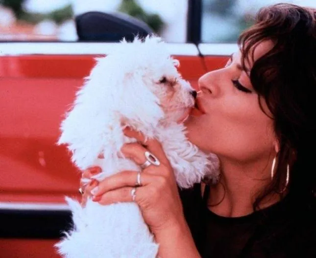 Золотые яйца (1993) в хорошем качестве смотреть онлайн Золотые яйца (1993) фильм в хорошем качестве смотреть онлайн