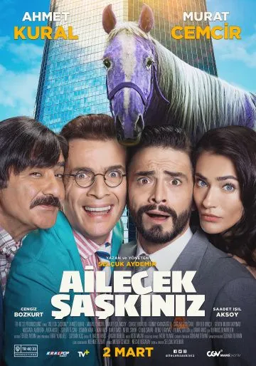 Безумная семейка / Ailecek Saskiniz (2018) фильм смотреть онлайн Безумная семейка / Ailecek Saskiniz (2018) фильм смотреть онлайн в хорошем качестве