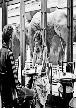 Темная лошадка (2005) смотреть онлайн Темная лошадка (2005) фильм смотреть онлайн