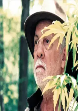 Вредный Альбер (2004) смотреть онлайн бесплатно Вредный Альбер (2004) фильм смотреть онлайн бесплатно