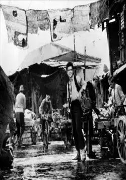 Америка, Америка (1963) смотреть онлайн Америка, Америка (1963) фильм смотреть онлайн