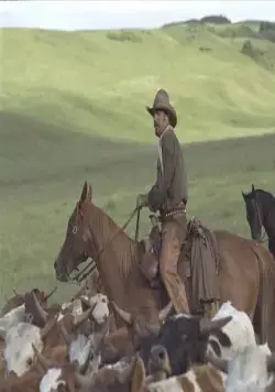 Открытый простор (2003) смотреть онлайн бесплатно Открытый простор (2003) фильм смотреть онлайн бесплатно