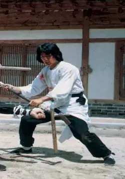 Искусство Шаолиня – змея и журавль (1978) смотреть онлайн бесплатно Искусство Шаолиня – змея и журавль (1978) фильм смотреть онлайн бесплатно