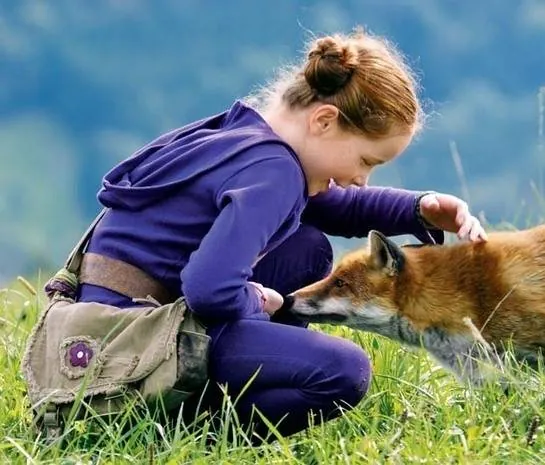 Девочка и лисенок (2007) в хорошем качестве смотреть онлайн Девочка и лисенок (2007) фильм в хорошем качестве смотреть онлайн