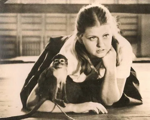 Руки вверх! (1981) смотреть онлайн Руки вверх! (1981) фильм смотреть онлайн