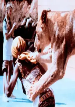 Грубая жатва (1981) в хорошем качестве смотреть онлайн Грубая жатва (1981) фильм в хорошем качестве смотреть онлайн