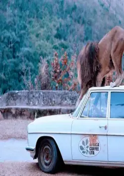 Грубая жатва (1981) смотреть онлайн бесплатно Грубая жатва (1981) фильм смотреть онлайн бесплатно