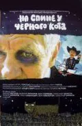 На спине у черного кота (2008) фильм смотреть онлайн в хорошем качестве