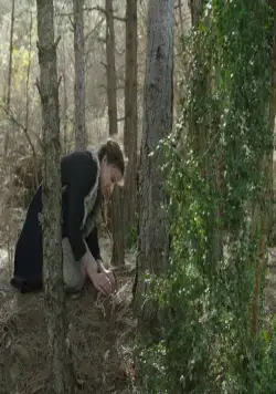 В волчьей шкуре (2017) смотреть онлайн бесплатно В волчьей шкуре (2017) фильм смотреть онлайн бесплатно