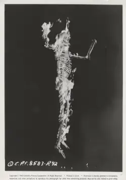 13 призраков (1960) в хорошем качестве смотреть онлайн 13 призраков (1960) фильм в хорошем качестве смотреть онлайн