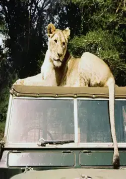 Рожденная свободной (1966) смотреть онлайн Рожденная свободной (1966) фильм смотреть онлайн