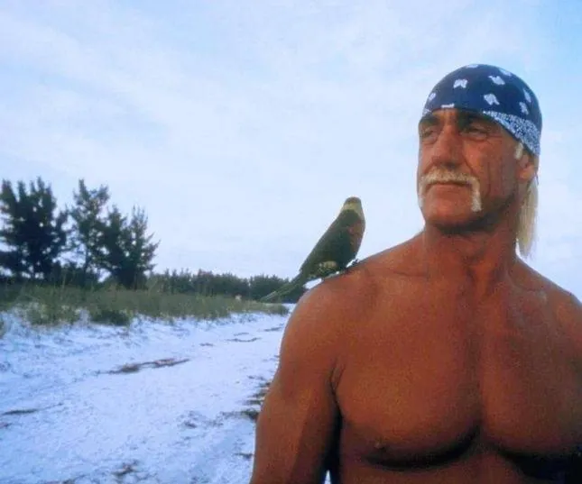 Остров МакКинси (1998) смотреть онлайн Остров МакКинси (1998) фильм смотреть онлайн