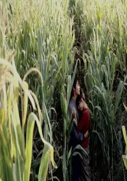 Семь мечей (2005) смотреть онлайн Семь мечей (2005) фильм смотреть онлайн