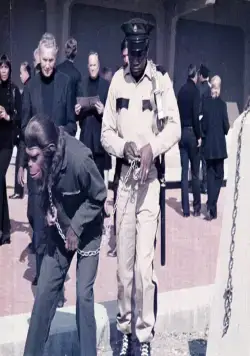 Завоевание планеты обезьян (1972) в хорошем качестве смотреть онлайн Завоевание планеты обезьян (1972) фильм в хорошем качестве смотреть онлайн