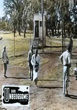 Хладнокровный Люк (1967) смотреть онлайн бесплатно Хладнокровный Люк (1967) фильм смотреть онлайн бесплатно