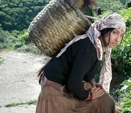 Бам-бам-боле (2010) в хорошем качестве смотреть онлайн Бам-бам-боле (2010) фильм в хорошем качестве смотреть онлайн