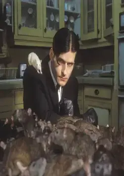 Уиллард (2003) смотреть онлайн Уиллард (2003) фильм смотреть онлайн