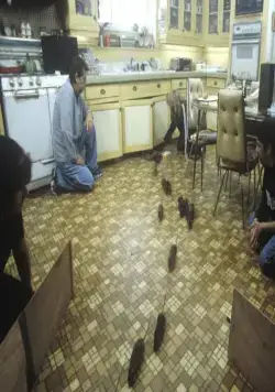 Уиллард (2003) в хорошем качестве смотреть онлайн Уиллард (2003) фильм в хорошем качестве смотреть онлайн