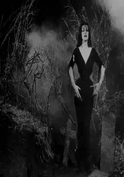 План 9 из открытого космоса (1959) смотреть онлайн План 9 из открытого космоса (1959) фильм смотреть онлайн