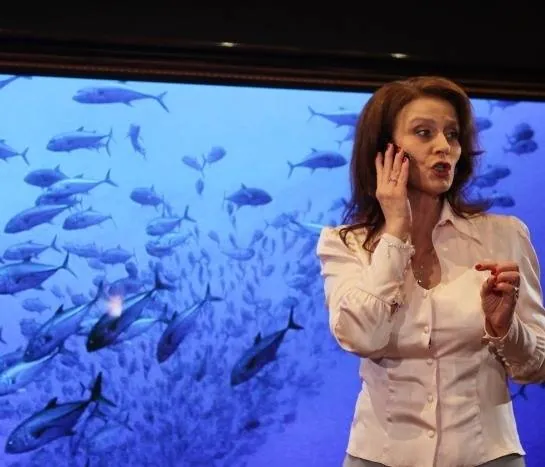 Карусель (2010) смотреть онлайн бесплатно Карусель (2010) фильм смотреть онлайн бесплатно