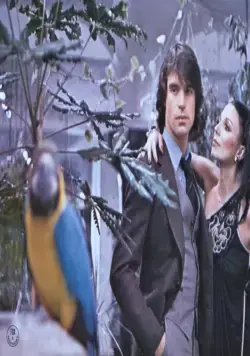 Жеребец (1978) смотреть онлайн бесплатно Жеребец (1978) фильм смотреть онлайн бесплатно