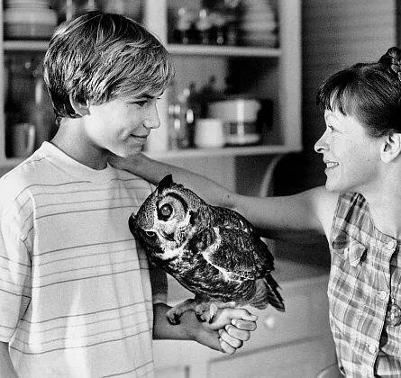 Дикая Америка (1997) смотреть онлайн Дикая Америка (1997) фильм смотреть онлайн