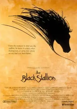 Черный скакун / The Black Stallion (1979) фильм смотреть онлайн Черный скакун / The Black Stallion (1979) фильм смотреть онлайн в хорошем качестве
