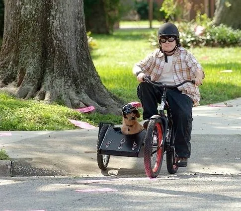 Эйс Вентура младший (2009) смотреть онлайн бесплатно Эйс Вентура младший (2009) фильм смотреть онлайн бесплатно