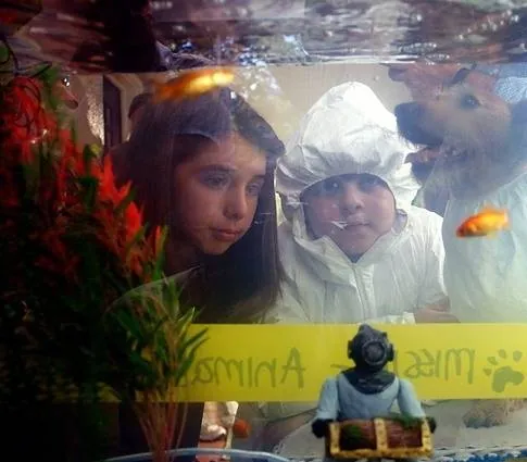 Эйс Вентура младший (2009) в хорошем качестве смотреть онлайн Эйс Вентура младший (2009) фильм в хорошем качестве смотреть онлайн