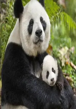 Рожденные в Китае (2016) смотреть онлайн Рожденные в Китае (2016) фильм смотреть онлайн