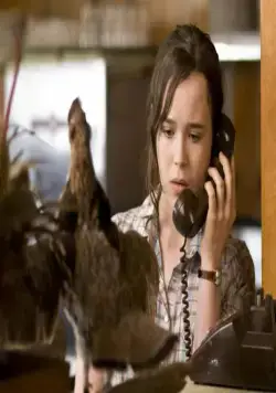 Пикок (2009) смотреть онлайн бесплатно Пикок (2009) фильм смотреть онлайн бесплатно