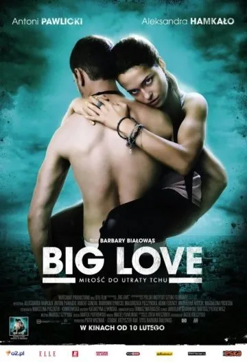 Большая любовь / Big Love (2012) фильм смотреть онлайн Большая любовь / Big Love (2012) фильм смотреть онлайн в хорошем качестве