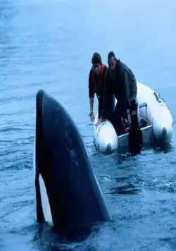 Освободите Вилли 3: Спасение (1997) смотреть онлайн Освободите Вилли 3: Спасение (1997) фильм смотреть онлайн