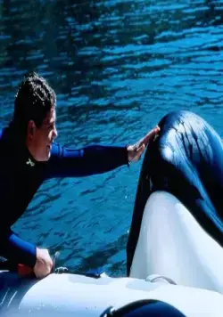 Освободите Вилли 3: Спасение (1997) смотреть онлайн бесплатно Освободите Вилли 3: Спасение (1997) фильм смотреть онлайн бесплатно