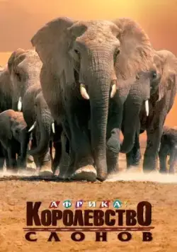 Африка – королевство слонов / Africa's Elephant Kingdom (1998) фильм смотреть онлайн в хорошем качестве