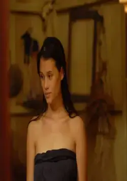 Плотина против Тихого океана (2008) смотреть онлайн бесплатно Плотина против Тихого океана (2008) фильм смотреть онлайн бесплатно