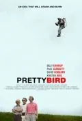 Пташка / Pretty Bird (2008) фильм смотреть онлайн в хорошем качестве